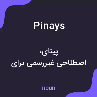 معنی pinays به فارسی معنی pinays به فارسی