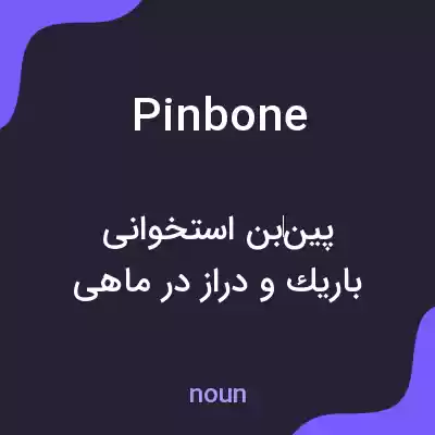 معنی pinbone به فارسی معنی pinbone به فارسی