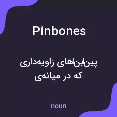معنی pinbones به فارسی معنی pinbones به فارسی