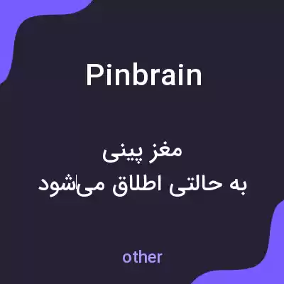 معنی pinbrain به فارسی معنی pinbrain به فارسی