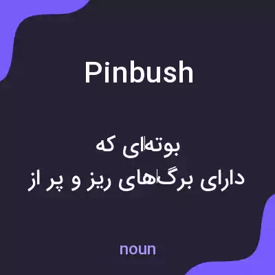 معنی pinbush به فارسی معنی pinbush به فارسی