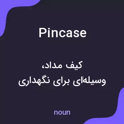 معنی pincase به فارسی معنی pincase به فارسی