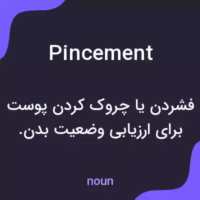 معنی pincement به فارسی معنی pincement به فارسی