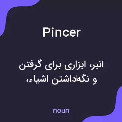 معنی pincer به فارسی معنی pincer به فارسی