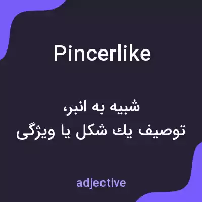 معنی pincerlike به فارسی معنی pincerlike به فارسی