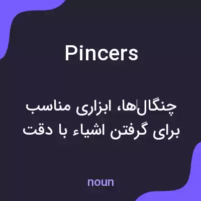 معنی pincers به فارسی معنی pincers به فارسی