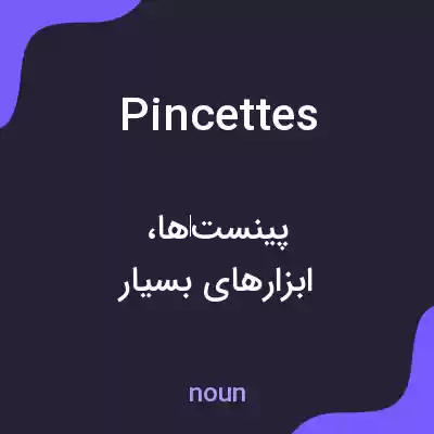 معنی pincettes به فارسی