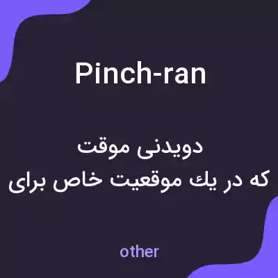 معنی pinch-ran به فارسی معنی pinch-ran به فارسی
