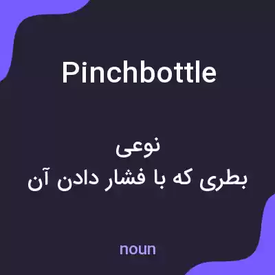 معنی pinchbottle به فارسی معنی pinchbottle به فارسی
