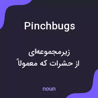 معنی pinchbugs به فارسی معنی pinchbugs به فارسی
