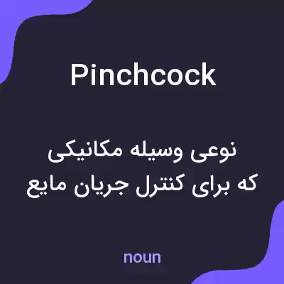 معنی pinchcock به فارسی معنی pinchcock به فارسی