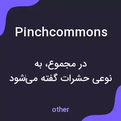 معنی pinchcommons به فارسی معنی pinchcommons به فارسی