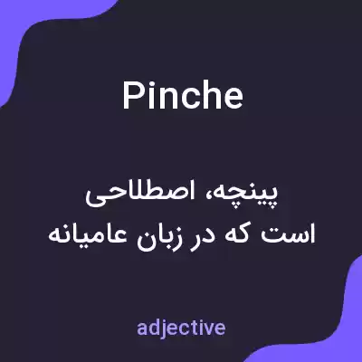 معنی pinche به فارسی معنی pinche به فارسی