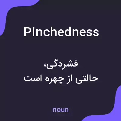 معنی pinchedness به فارسی معنی pinchedness به فارسی