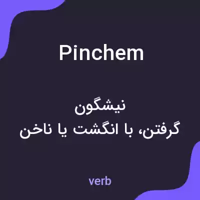 معنی pinchem به فارسی معنی pinchem به فارسی
