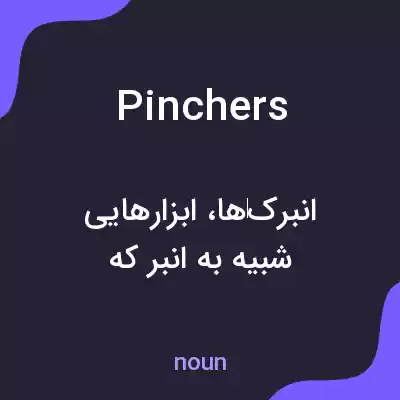 معنی pinchers به فارسی معنی pinchers به فارسی