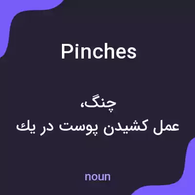 معنی pinches به فارسی