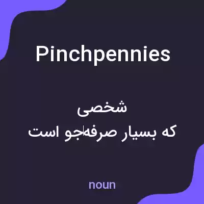معنی pinchpennies به فارسی