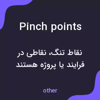 معنی pinch points به فارسی معنی pinch points به فارسی