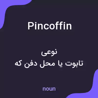 معنی pincoffin به فارسی معنی pincoffin به فارسی