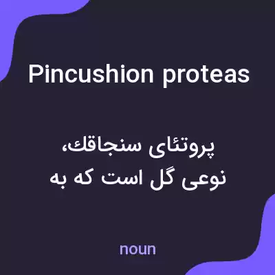 معنی pincushion proteas به فارسی معنی pincushion proteas به فارسی