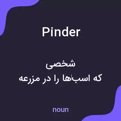 معنی pinder به فارسی معنی pinder به فارسی