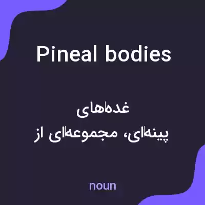 معنی pineal bodies به فارسی معنی pineal bodies به فارسی