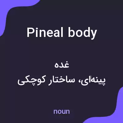 معنی pineal body به فارسی