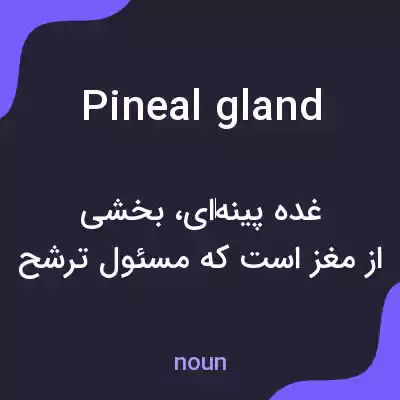 معنی pineal gland به فارسی