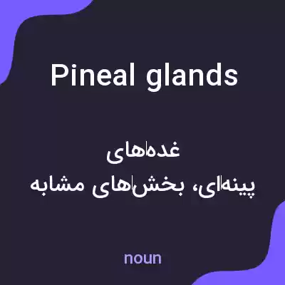 معنی pineal glands به فارسی