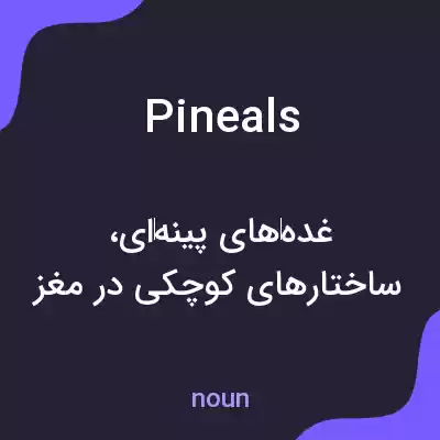معنی pineals به فارسی