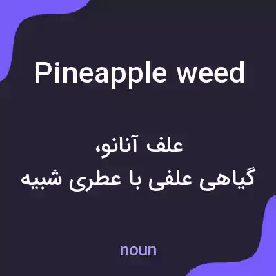 معنی pineapple weed به فارسی معنی pineapple weed به فارسی