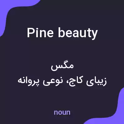 معنی pine beauty به فارسی معنی pine beauty به فارسی