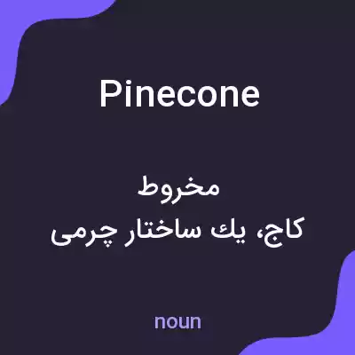 معنی pine cone به فارسی