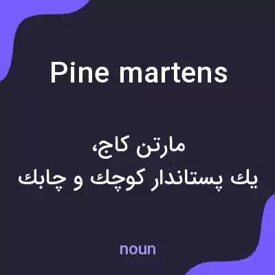معنی pine martens به فارسی معنی pine martens به فارسی