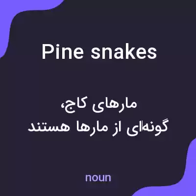 معنی pine snakes به فارسی