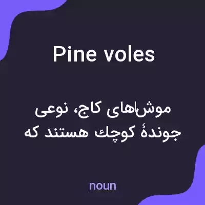 معنی pine voles به فارسی معنی pine voles به فارسی