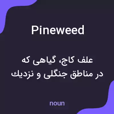 معنی pineweed به فارسی معنی pineweed به فارسی