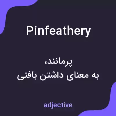 معنی pinfeathery به فارسی معنی pinfeathery به فارسی