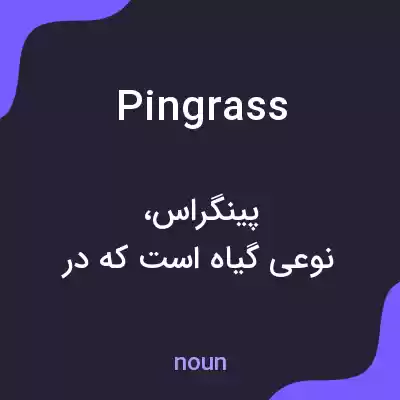 معنی pingrass به فارسی معنی pingrass به فارسی