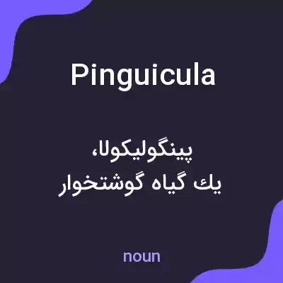 معنی pinguicula به فارسی معنی pinguicula به فارسی