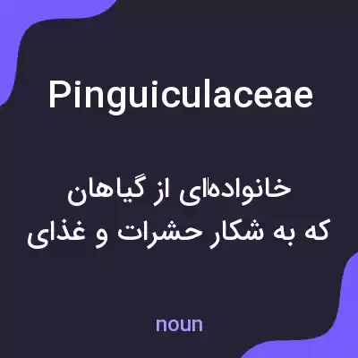 معنی pinguiculaceae به فارسی معنی pinguiculaceae به فارسی