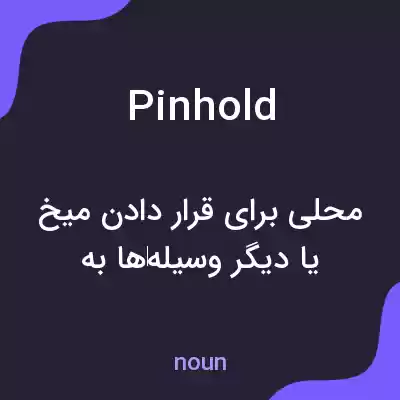 معنی pinhold به فارسی معنی pinhold به فارسی