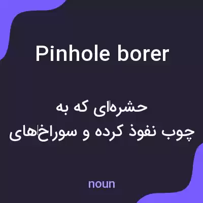 معنی pinhole borer به فارسی معنی pinhole borer به فارسی