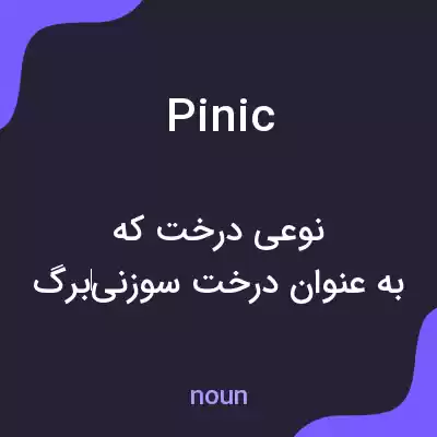 معنی pinic به فارسی معنی pinic به فارسی