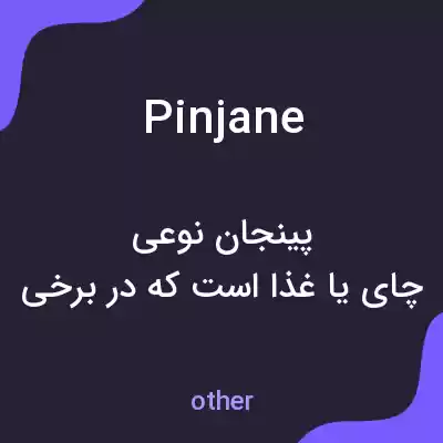 معنی pinjane به فارسی معنی pinjane به فارسی