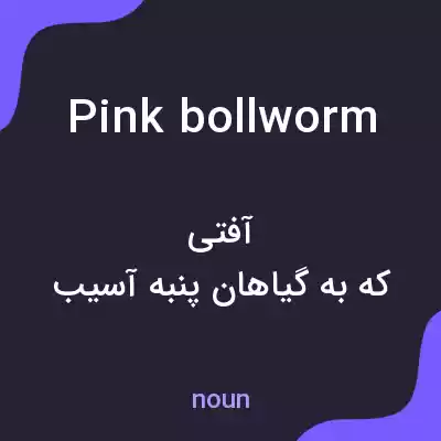 معنی pink bollworm به فارسی