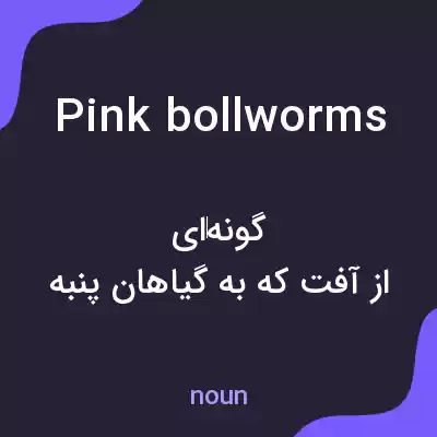 معنی pink bollworms به فارسی معنی pink bollworms به فارسی