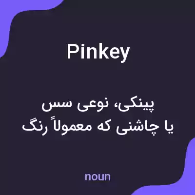 معنی pinkey به فارسی معنی pinkey به فارسی