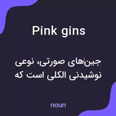 معنی pink gins به فارسی